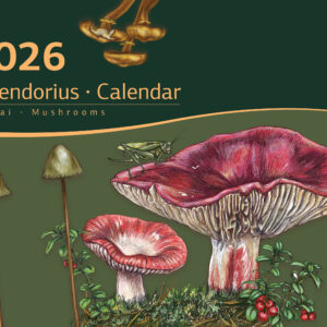 Kalendorius "Grybai"